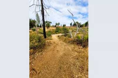 9985 Wendell Road, Mountain Ranch, CA 95246 - Photo 13