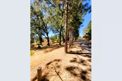 9985 Wendell Road, Mountain Ranch, CA 95246 - Photo 71