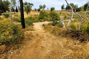 9985 Wendell Rd, Mountain Ranch, CA 95246 - Photo 13