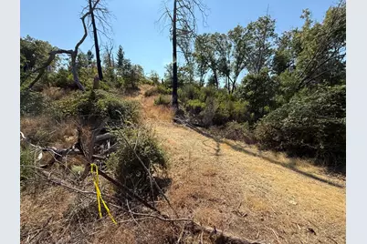 9985 Wendell Road, Mountain Ranch, CA 95246 - Photo 79