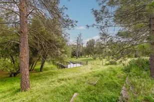 3090 Horseshoe Bend Rd, Somerset, CA 95684 - Photo 43