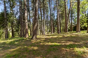 12609 Oak Cir, Grass Valley, CA 95945 - Photo 41