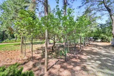 6409 Longridge, Foresthill, CA 95631 - Photo 53
