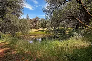 7420 Derby Ln, Somerset, CA 95684 - Photo 11