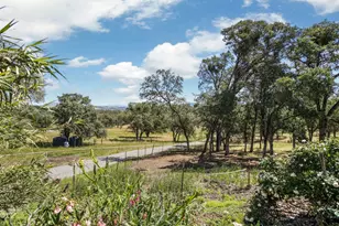 901 Quail Oaks Rd, Valley Springs, CA 95252 - Photo 49