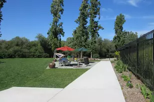 535 Pierce St, Albany, CA 94706 - Photo 33