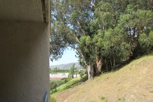 535 Pierce St, Albany, CA 94706 - Photo 23