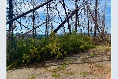 4664 String Canyon Road, Somerset, CA 95684 - Photo 15
