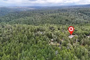 2470 Buffalo Hill Rd, Georgetown, CA 95634 - Photo 3