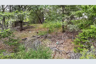 2470 Buffalo Hill Road, Georgetown, CA 95634 - Photo 35