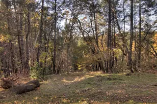 2470 Buffalo Hill Rd, Georgetown, CA 95634 - Photo 61