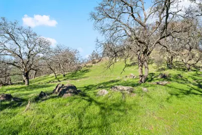 8251 Buffalo Ridge Road, Ione, CA 95640 - Photo 43