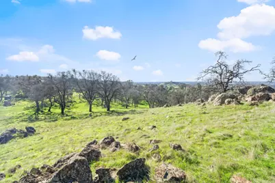 8251 Buffalo Ridge Road, Ione, CA 95640 - Photo 47