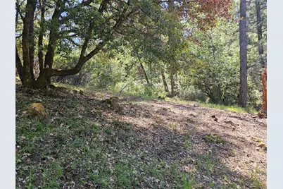 19730 Wedemeyer Place, Weimar, CA 95713 - Photo 13