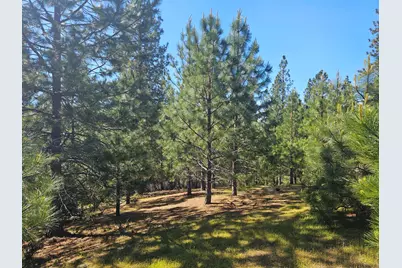 19730 Wedemeyer Place, Weimar, CA 95713 - Photo 27