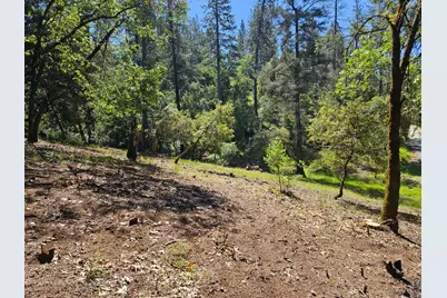 19730 Wedemeyer Place, Weimar, CA 95713 - Photo 5