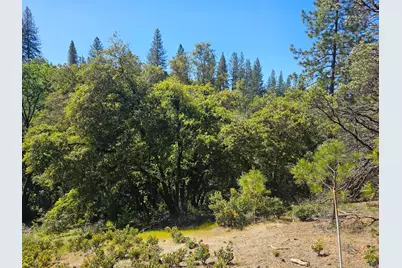 19730 Wedemeyer Place, Weimar, CA 95713 - Photo 31