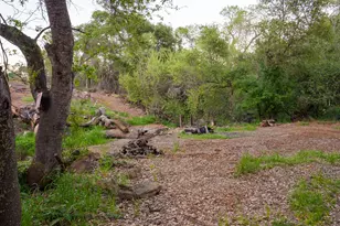 595 Long Bar, Oroville, CA 95966 - Photo 65