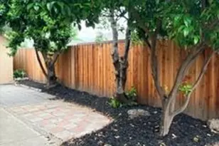 953 Souza, Manteca, CA 95336 - Photo 15