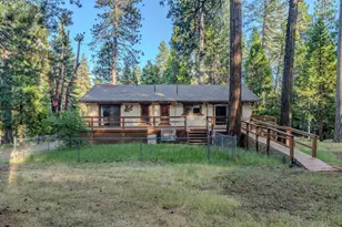 18020 N Mace Dr, Pioneer, CA 95666 - Photo 59