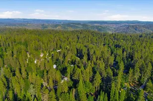 11521 Ragan Way, Grass Valley, CA 95949 - Photo 37
