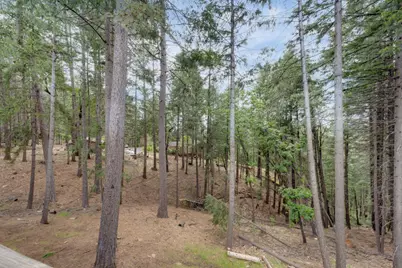 5531 Begonia Drive, Pollock Pines, CA 95726 - Photo 43