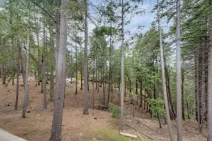 5531 Begonia Dr, Pollock Pines, CA 95726 - Photo 43