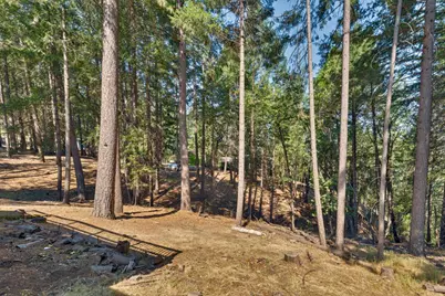 5531 Begonia Drive, Pollock Pines, CA 95726 - Photo 51