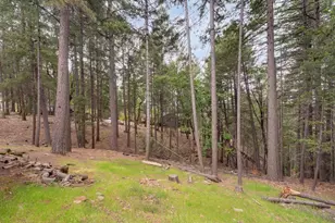 5531 Begonia Dr, Pollock Pines, CA 95726 - Photo 47