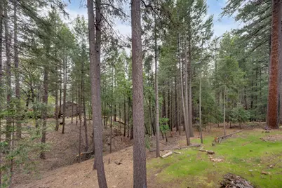 5531 Begonia Drive, Pollock Pines, CA 95726 - Photo 53