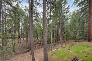 5531 Begonia Dr, Pollock Pines, CA 95726 - Photo 53