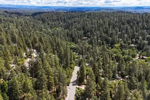 11163 Norager Way, Grass Valley, CA 95949 - Photo 53