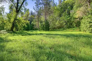 10538 Mote Ln, Grass Valley, CA 95949 - Photo 77
