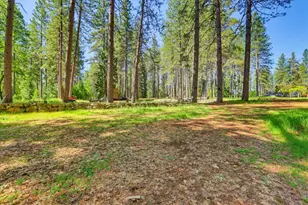 10538 Mote Ln, Grass Valley, CA 95949 - Photo 61
