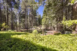 2070 King of the Mountain Rd, Pollock Pines, CA 95726 - Photo 39