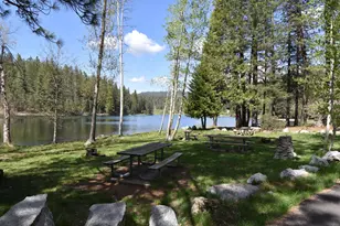 258 Bull Wacker Run, Arnold, CA 95223 - Photo 83