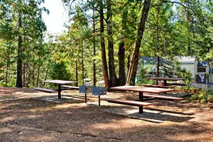 258 Bull Wacker Run, Arnold, CA 95223 - Photo 87