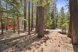 7213 3rd Ave, Tahoma, CA 96142 - Photo 51
