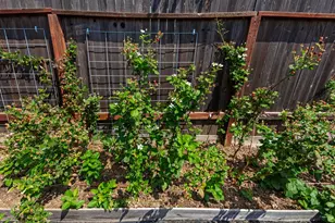 7506 Saybrook Dr, Citrus Heights, CA 95621 - Photo 43
