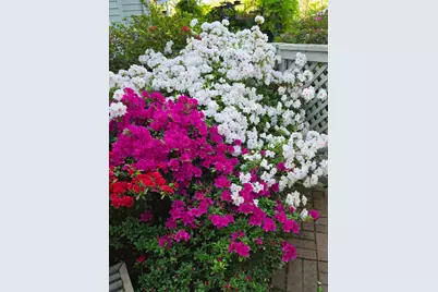 9111 Yellow Flower Place, Fair Oaks, CA 95628 - Photo 71