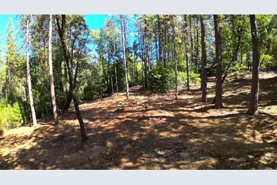 6324 Dickinson Road, Placerville, CA 95667 - Photo 27
