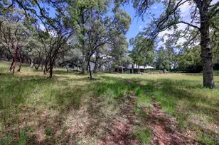 1480 Sage Rd, Colfax, CA 95713 - Photo 47