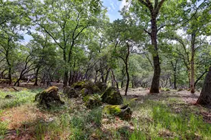1480 Sage Rd, Colfax, CA 95713 - Photo 41
