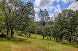 1480 Sage Rd, Colfax, CA 95713 - Photo 37