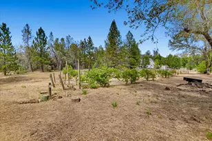 18088 Gray Oak Dr, Rough and Ready, CA 95975 - Photo 47