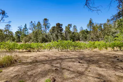 18088 Gray Oak Drive, Rough and Ready, CA 95975 - Photo 53