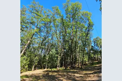 15367 Lakewood Lane, Grass Valley, CA 95945 - Photo 3