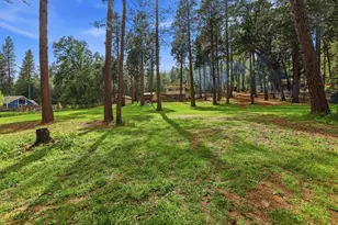 4061 Cedar Dr, Georgetown, CA 95634 - Photo 3
