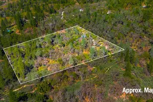 18354 Boogie Hill Rd, Nevada City, CA 95959 - Photo 33