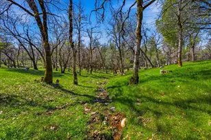 18354 Boogie Hill Rd, Nevada City, CA 95959 - Photo 27